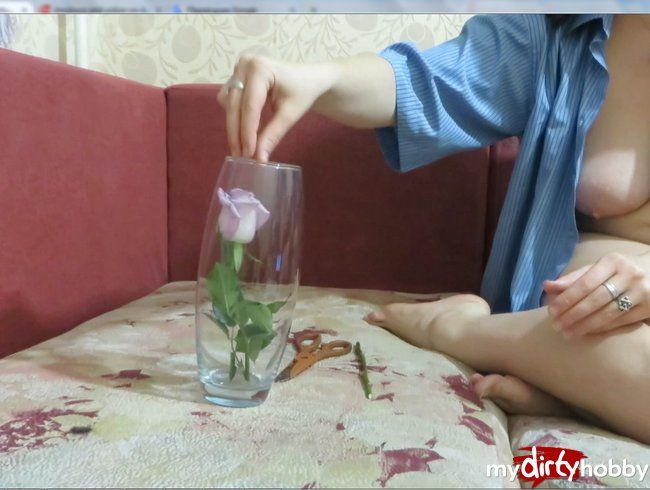 Pissing in einer Vase mit einer Rose