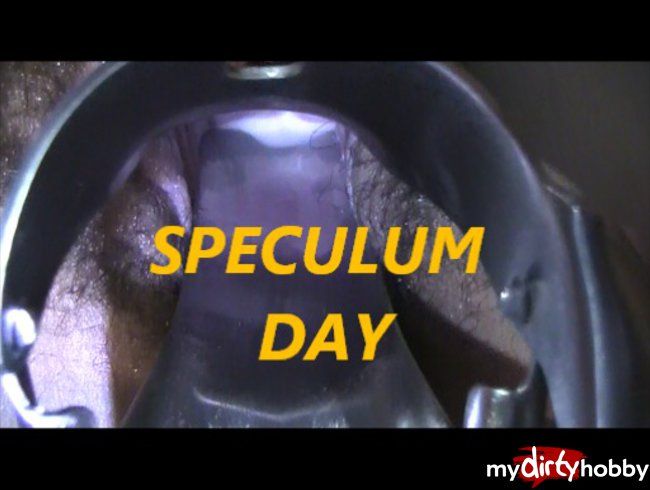 KURZCLIP-SPECULUM DAY