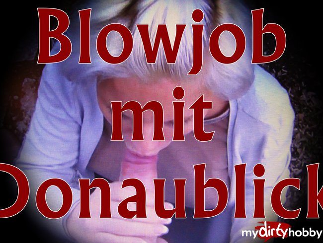 Blowjob mit Donaublick