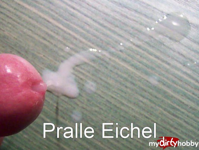 Pralle Eichel