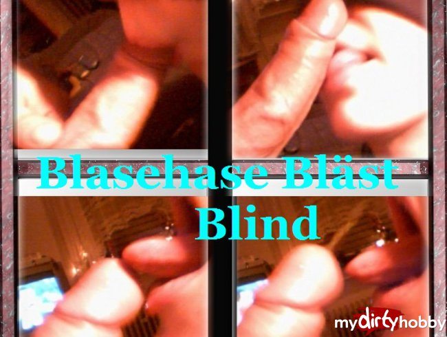 Blasehase Bläst Blind