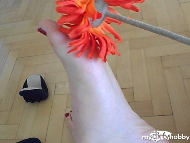 Blume streichelt meine süßen Füße
