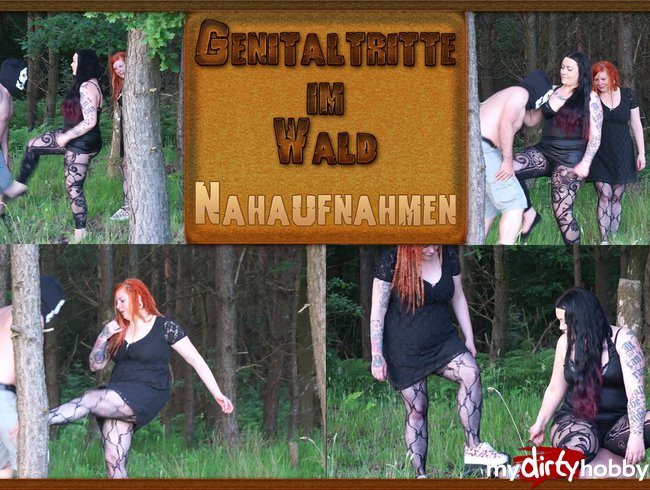 Genitaltritte im Wald -Nahaufnahme-