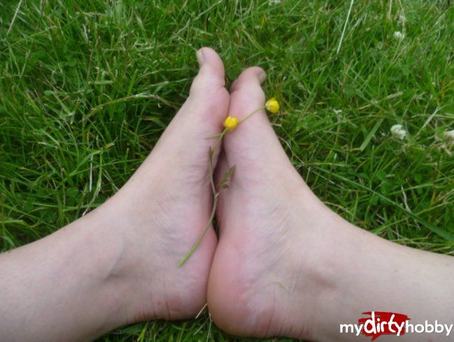 Nackte Füße im Gras