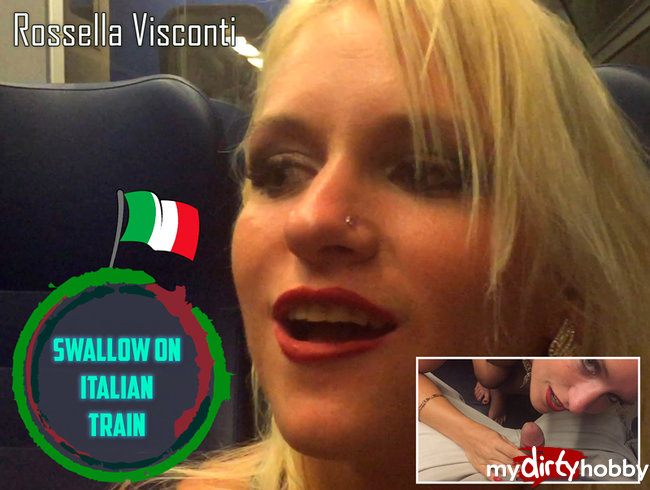 Swallow on Italian Train
